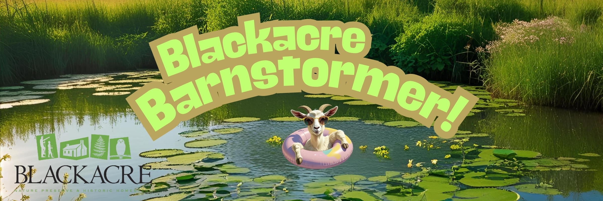 Blackacre Barnstormer