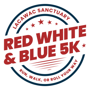 Red, White & Blue 5k logo