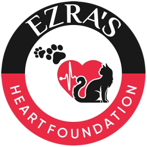 Strides for Paws Virtual 5K Walk/Run 2026 logo