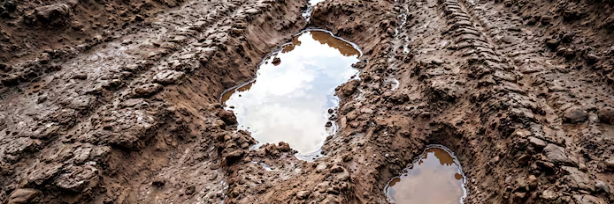 Vanguard Mud Race