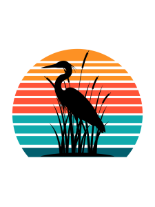 Chase Summer 5K logo