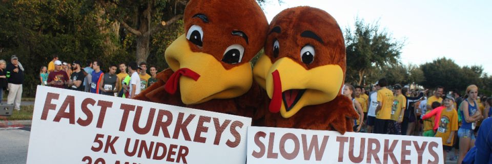 FishHawk Turkey Trot