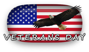 Veterans Day 5K logo