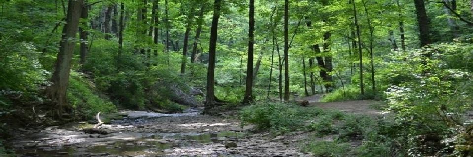 Dirt Days Trail Series - French Park Creek Crossings