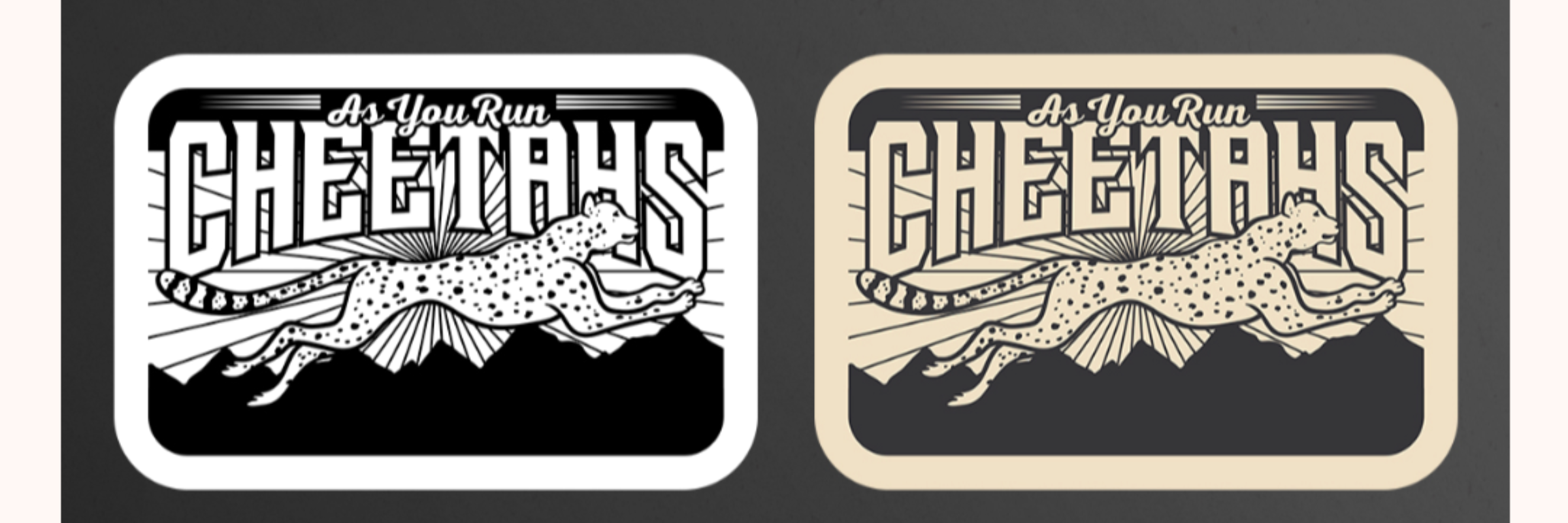Spring Track Cheetah