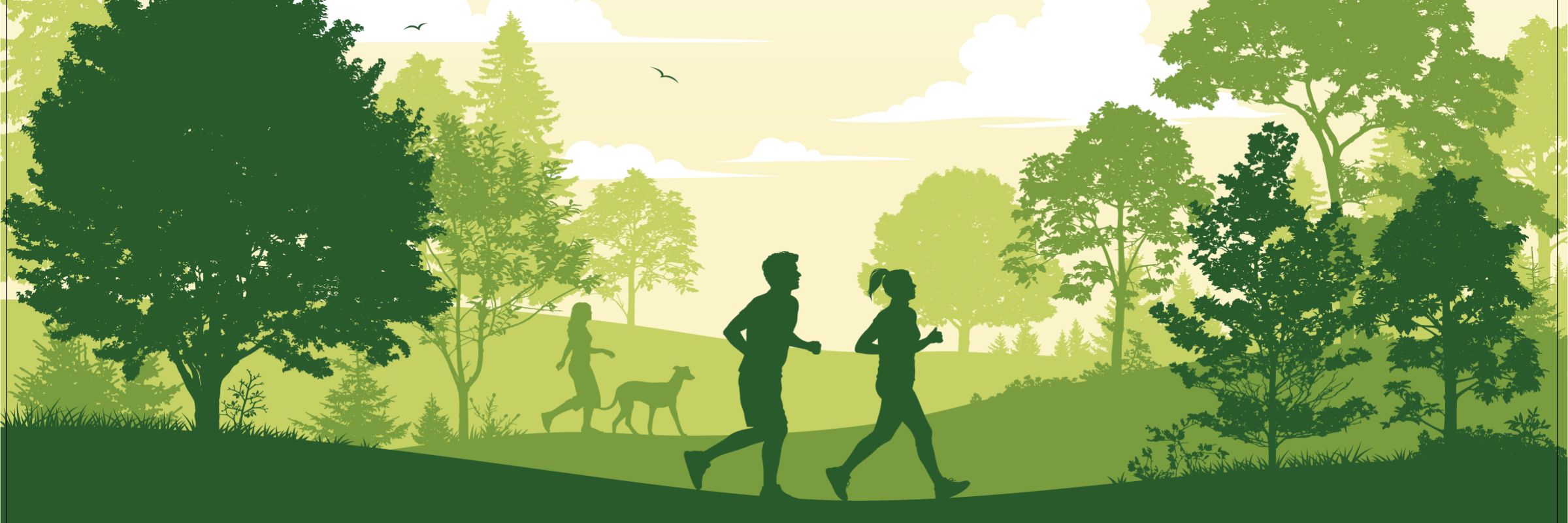 Run the Woods