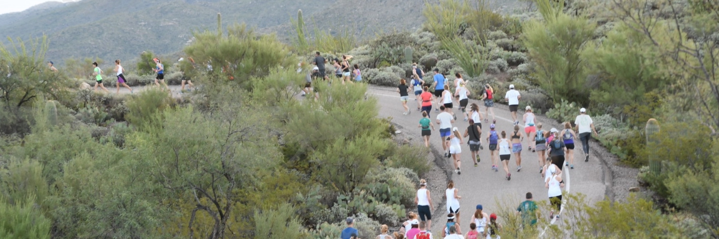 TMC Saguaro National Park Labor Day 8-Miler/5k