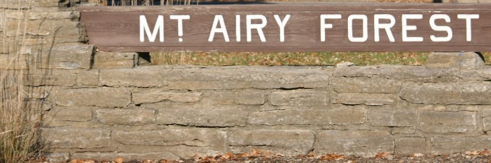 Dirt Days Trail Series - Mt. Airy Ridge Run