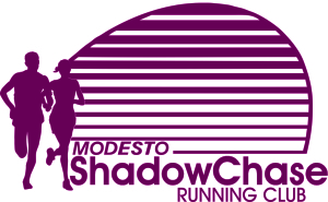 ShadowChase Training Group logo