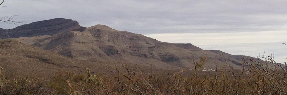 Lady of the Mountain Run